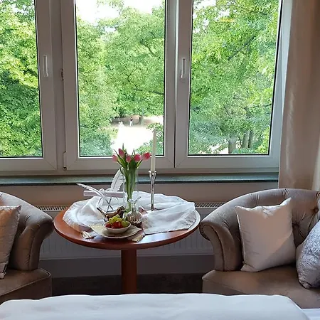 Solitaire Guest house Podebrady